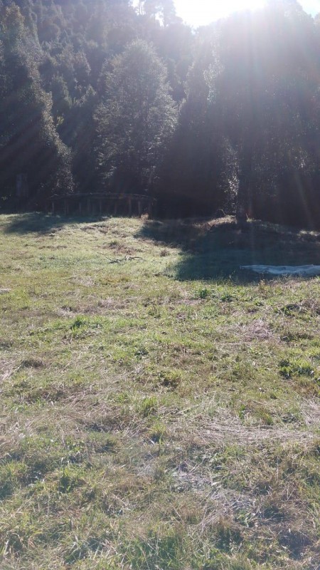 Se Vende Hermoso Campo de 17 Hectareás en Pucón