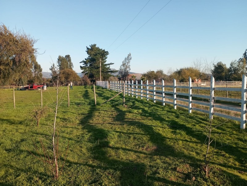 ¡¡oportunidad!!hermosa Parcela Con Casa en Pumanque