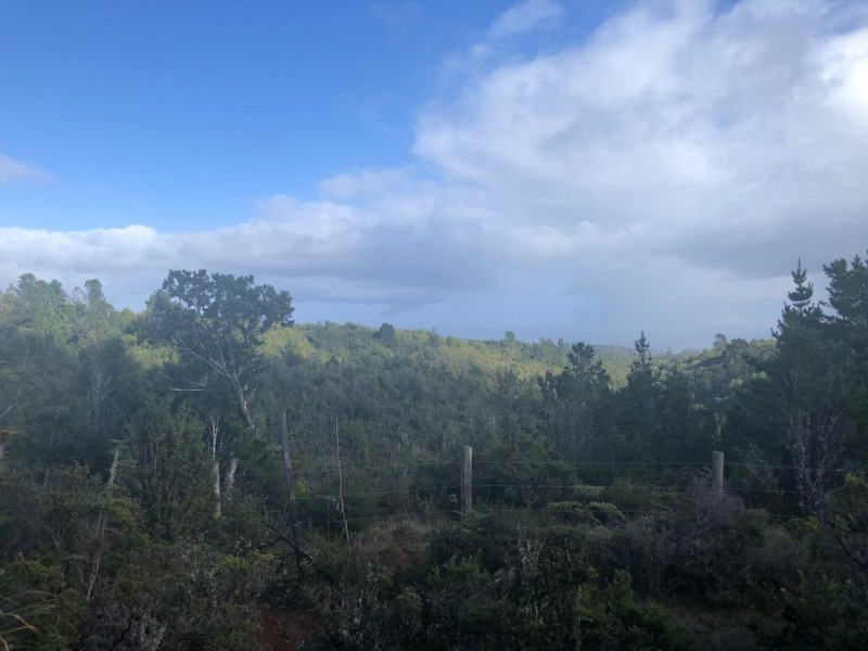 Gran Oportunidad de Parcelas en Valdivia