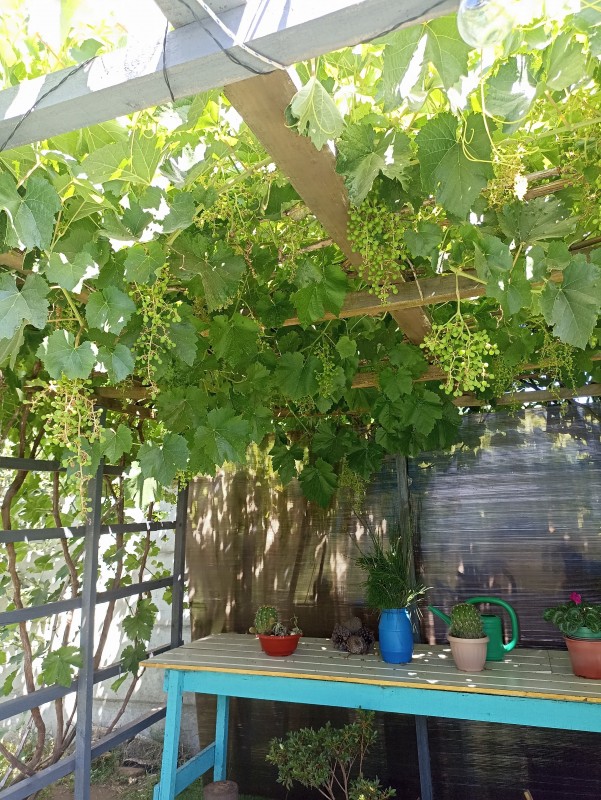 Hermosa y Amplia Casa 4D1B+E+B!!!