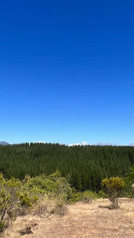 Gran Terreno 13086M2