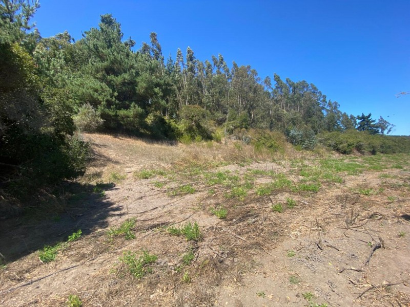 Gran Oportunidad, Terreno 71 Hectáreas