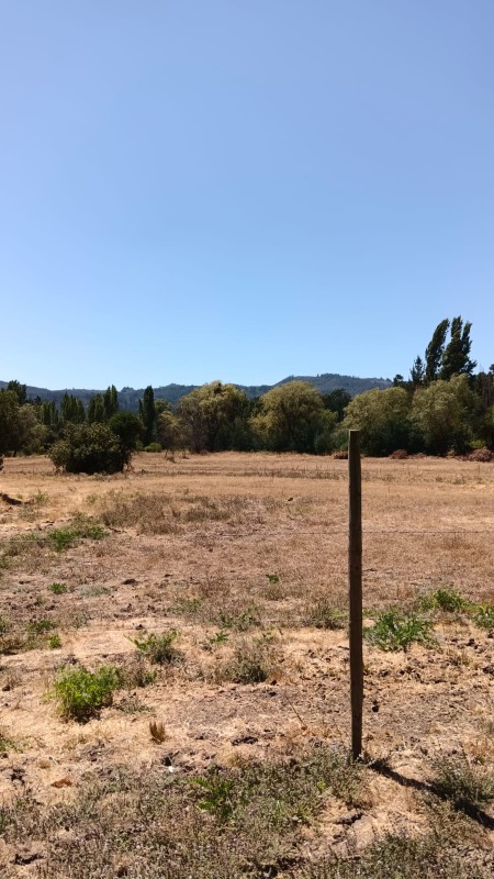 Se Vende Parcela de 4,2 Hectareas Con Casa 3D1B!!!