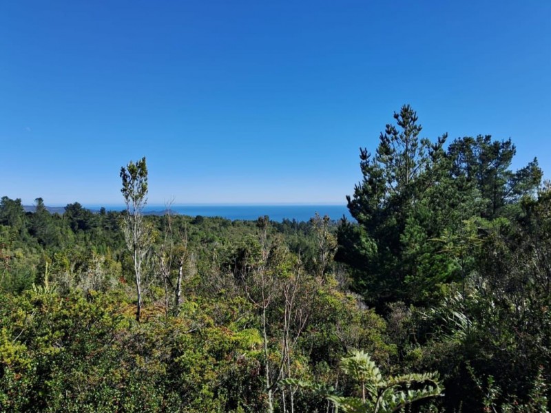 Gran Oportunidad de Parcelas en Valdivia