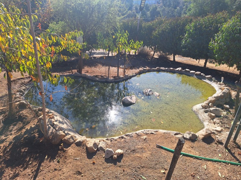 Parcela en Altos de Miraflores, Curacaví | 5D | Piscina |