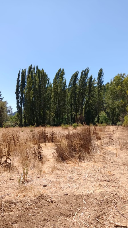 Se Vende Parcela de 4,2 Hectareas Con Casa 3D1B!!!