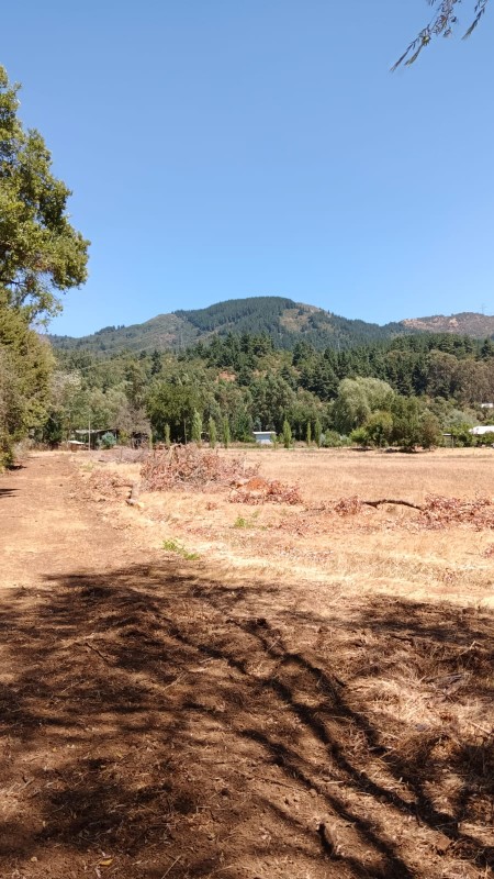 Se Vende Parcela de 4,2 Hectareas Con Casa 3D1B!!!
