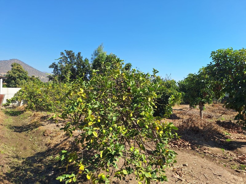 Parcela Con Casa y Galpon en Melipilla