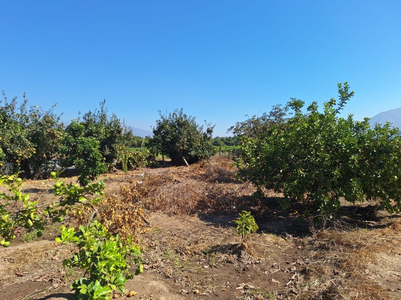 Parcela Con Casa y Galpon en Melipilla