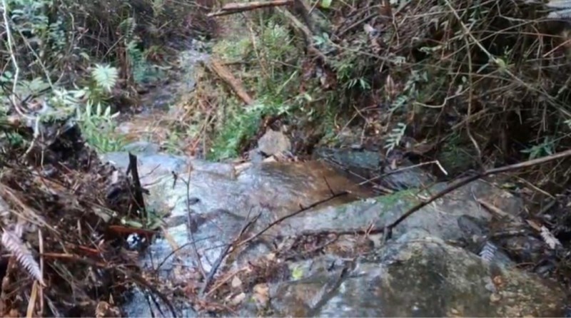 Gran Oportunidad de Parcelas en Valdivia