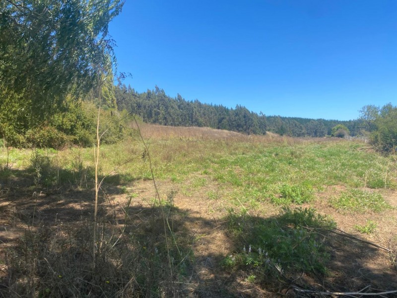 Gran Oportunidad, Terreno 71 Hectáreas