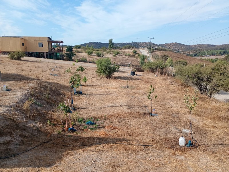 Gran Parcela de 1 Hectárea en Melipilla