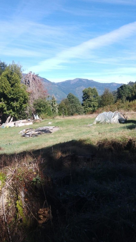 Se Vende Hermoso Campo de 17 Hectareás en Pucón