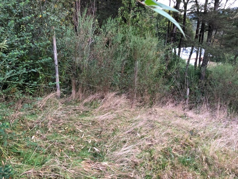 Parcela de 5000M2 4D2B