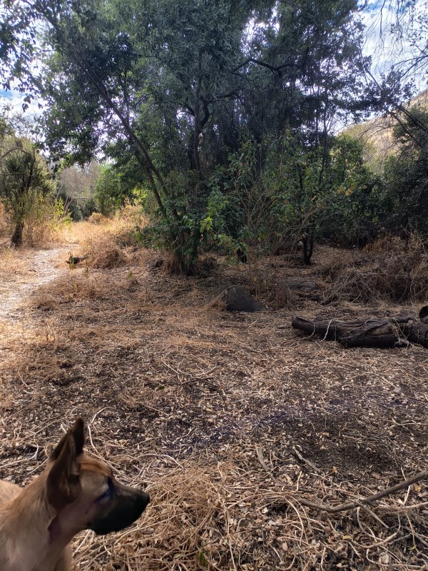 Parcela Con 5100M2 en Venta- Curacaví
