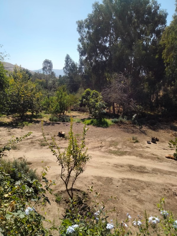 Parcela 5000M2 Con Casa 3D | Pozo Profundo, Melipilla