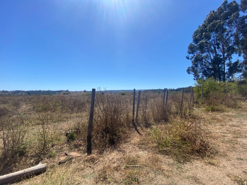 Gran Oportunidad, Terreno 71 Hectáreas