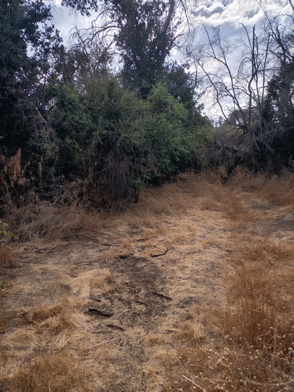 Parcela Con 5100M2 en Venta- Curacaví