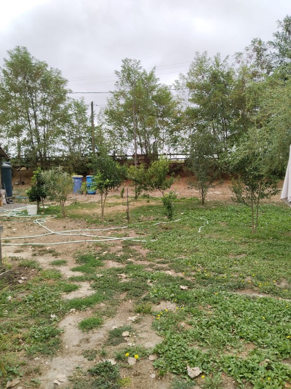 Gran Oportunidad , Hermosa Parcela 4500M2 Con 3 Casas!!!!