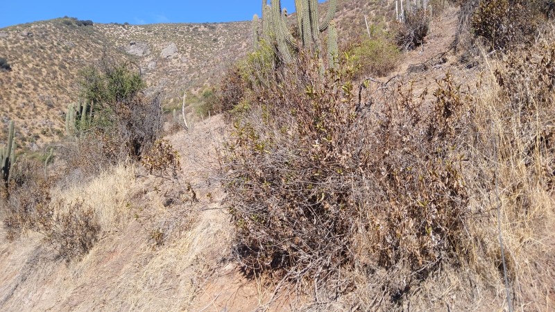 7,5 Hectareas, Parcela en Venta, Talagante!!!