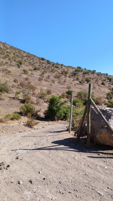 7,5 Hectareas, Parcela en Venta, Talagante!!!