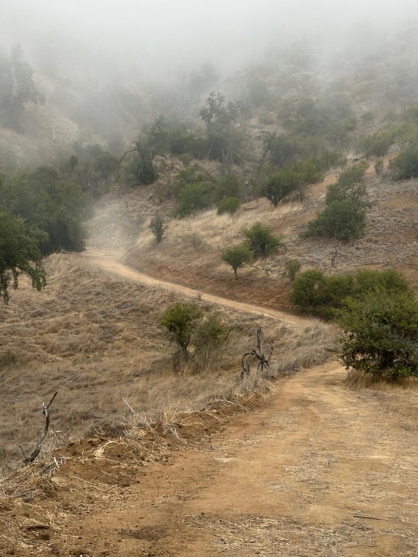 Gran Oportunidad Terreno de 17.930M2 en Curacavi!!!