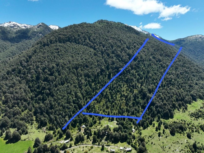 Se Vende Hermoso Campo de 17 Hectareás en Pucón