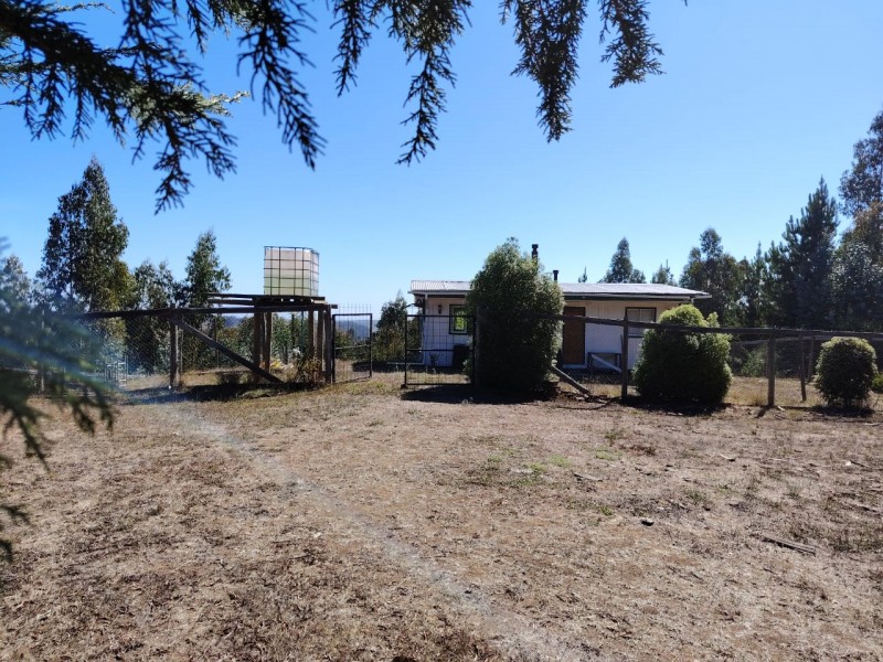 Gran Oportunidad, Terreno 71 Hectáreas