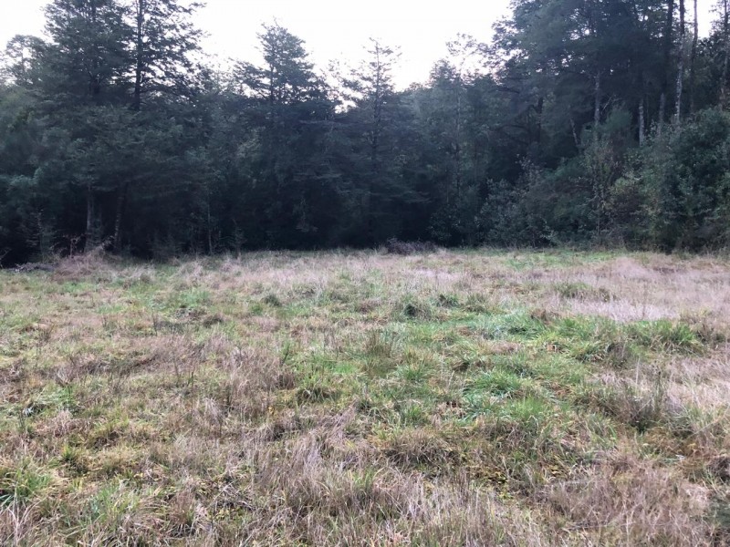 Parcela de 5000M2 4D2B