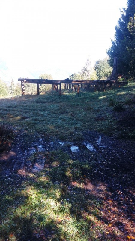 Se Vende Hermoso Campo de 17 Hectareás en Pucón