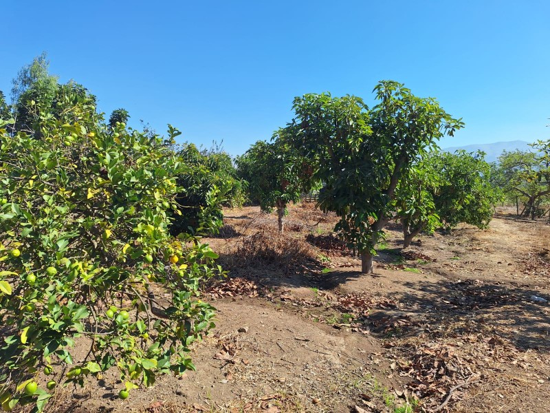 Parcela Con Casa y Galpon en Melipilla