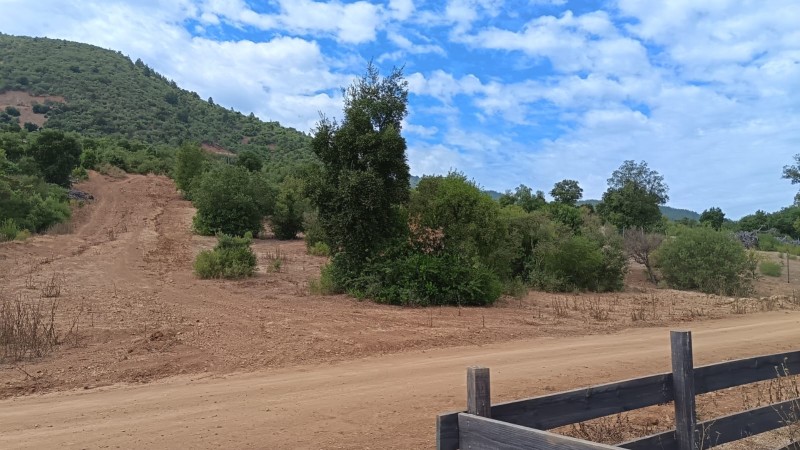 Parcela 5000M2 , en el Maule-Molina