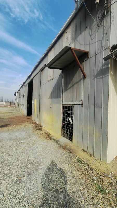 Oportunidad Arriendo de 5000 M2 Propiedad Industrial