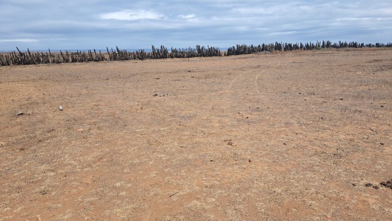 Gran Sitio en Venta , en Coquimbo-Canela!!!!!