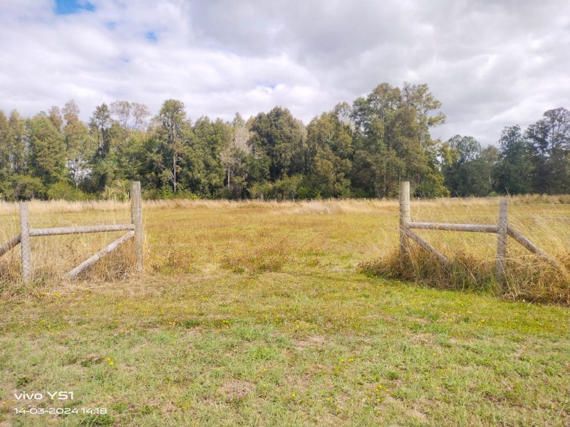 Oportunidad Parcela 5244M2 en la Unión, Valdivia!!!