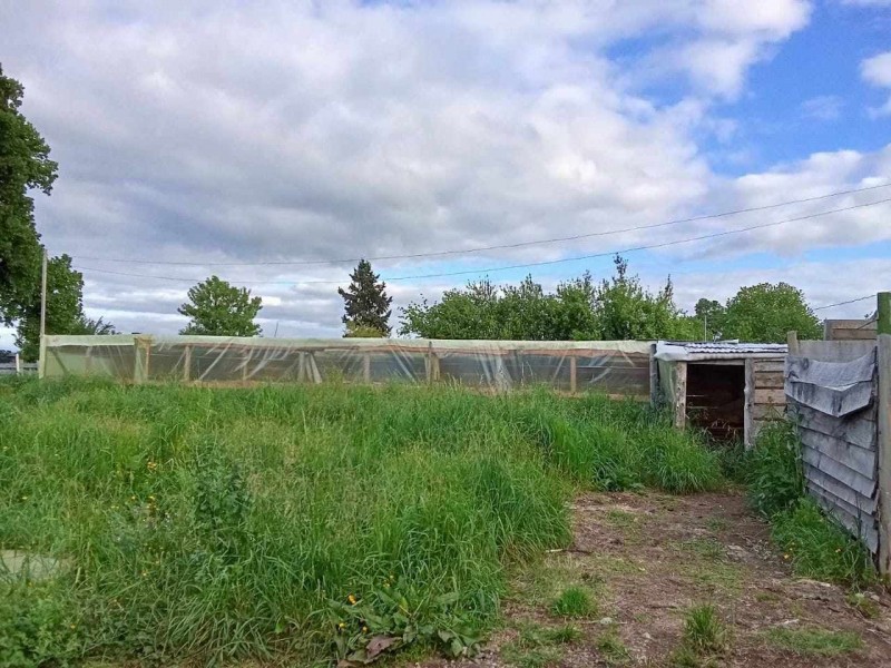 Gran Parcela de 5000M2 Con Casa en Paillaco
