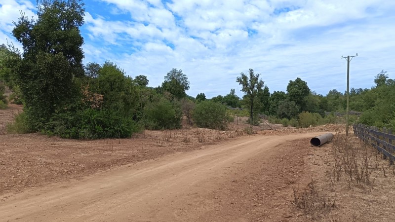 Parcela 5000M2 , en el Maule-Molina