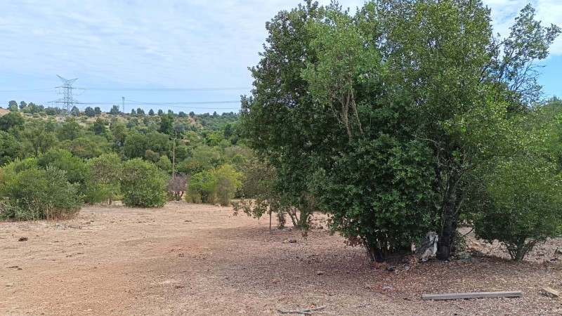 Parcela 5000M2 , en el Maule-Molina