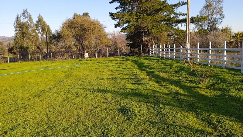 ¡¡oportunidad!!hermosa Parcela Con Casa en Pumanque