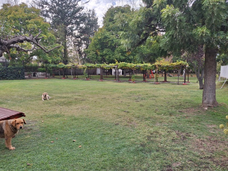 Parcela Urbana 11.100M2 en Paine|3 Casas|