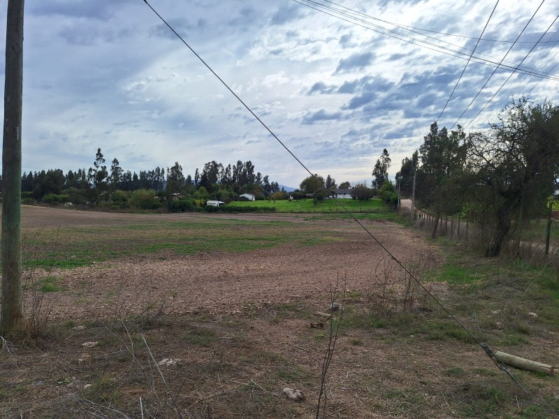 Parcela Urbana 11.100M2 en Paine|3 Casas|