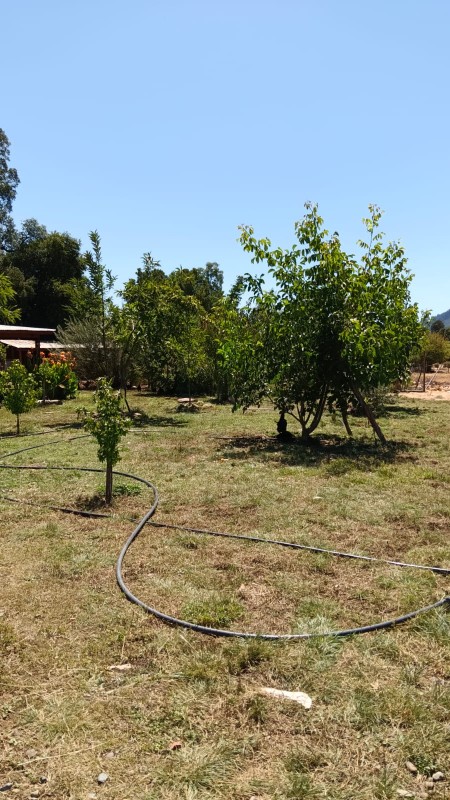 Se Vende Parcela de 4,2 Hectareas Con Casa 3D1B!!!