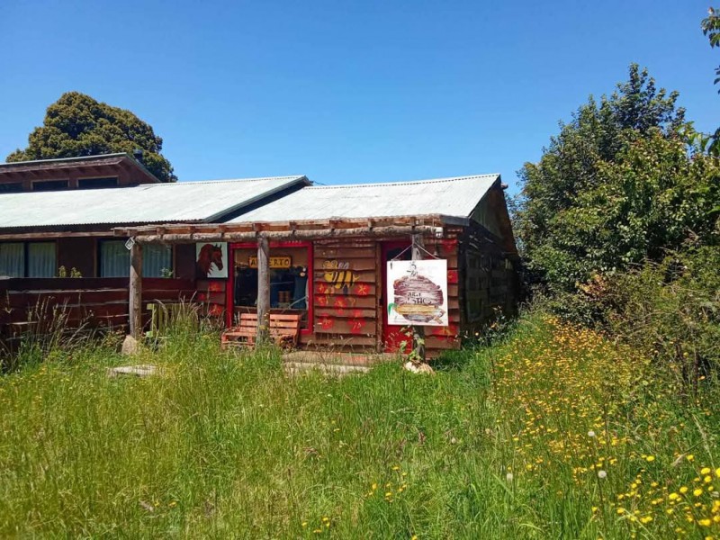 Gran Parcela de 5000M2 Con Casa en Paillaco