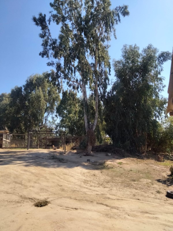 Parcela 5000M2 Con Casa 3D | Pozo Profundo, Melipilla