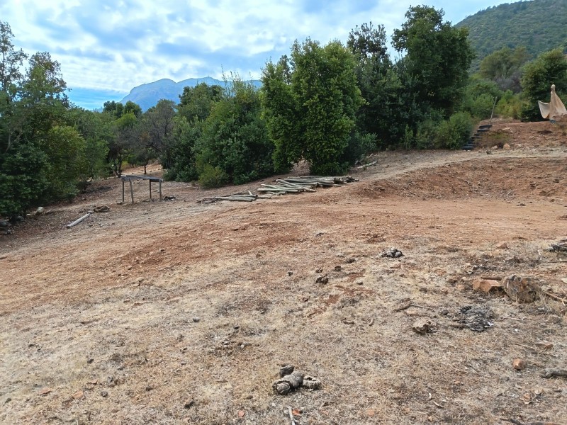 Parcela 5000M2 , en el Maule-Molina