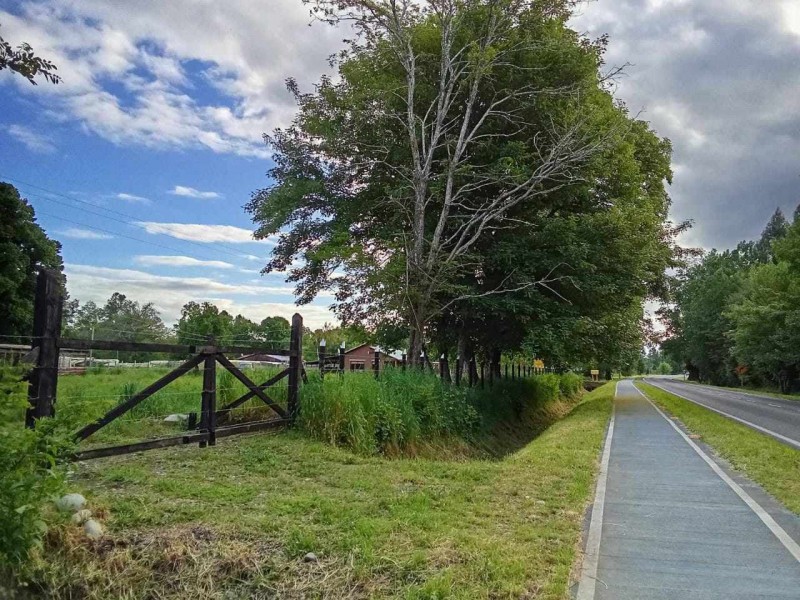 Gran Parcela de 5000M2 Con Casa en Paillaco