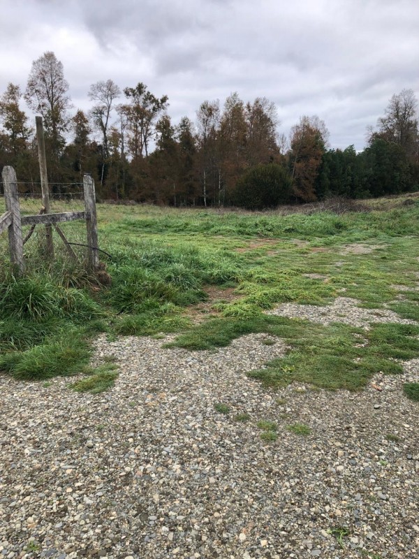 Parcela de 9.700M2 en Mafil