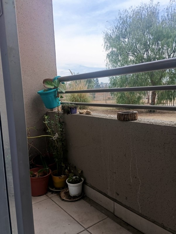 Oportunidad Dpto en Villa Alemana 3D1B