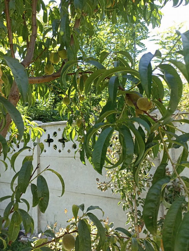 Hermosa y Amplia Casa 4D1B+E+B!!!