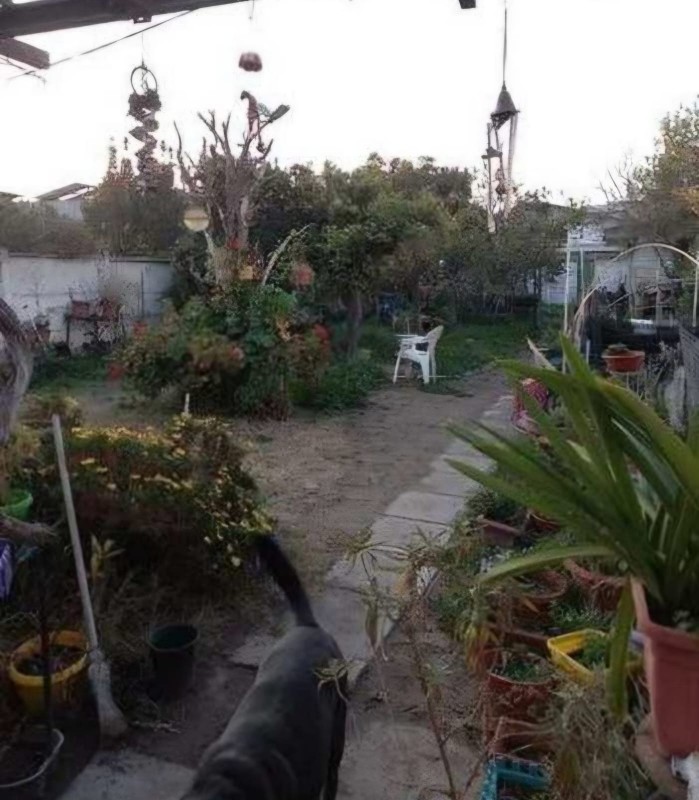 Vende Casa 4D-2B Av.coycolea